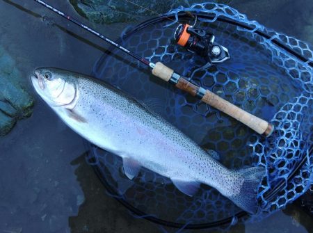 なかなか厳しい天竜川